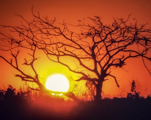 African sunset