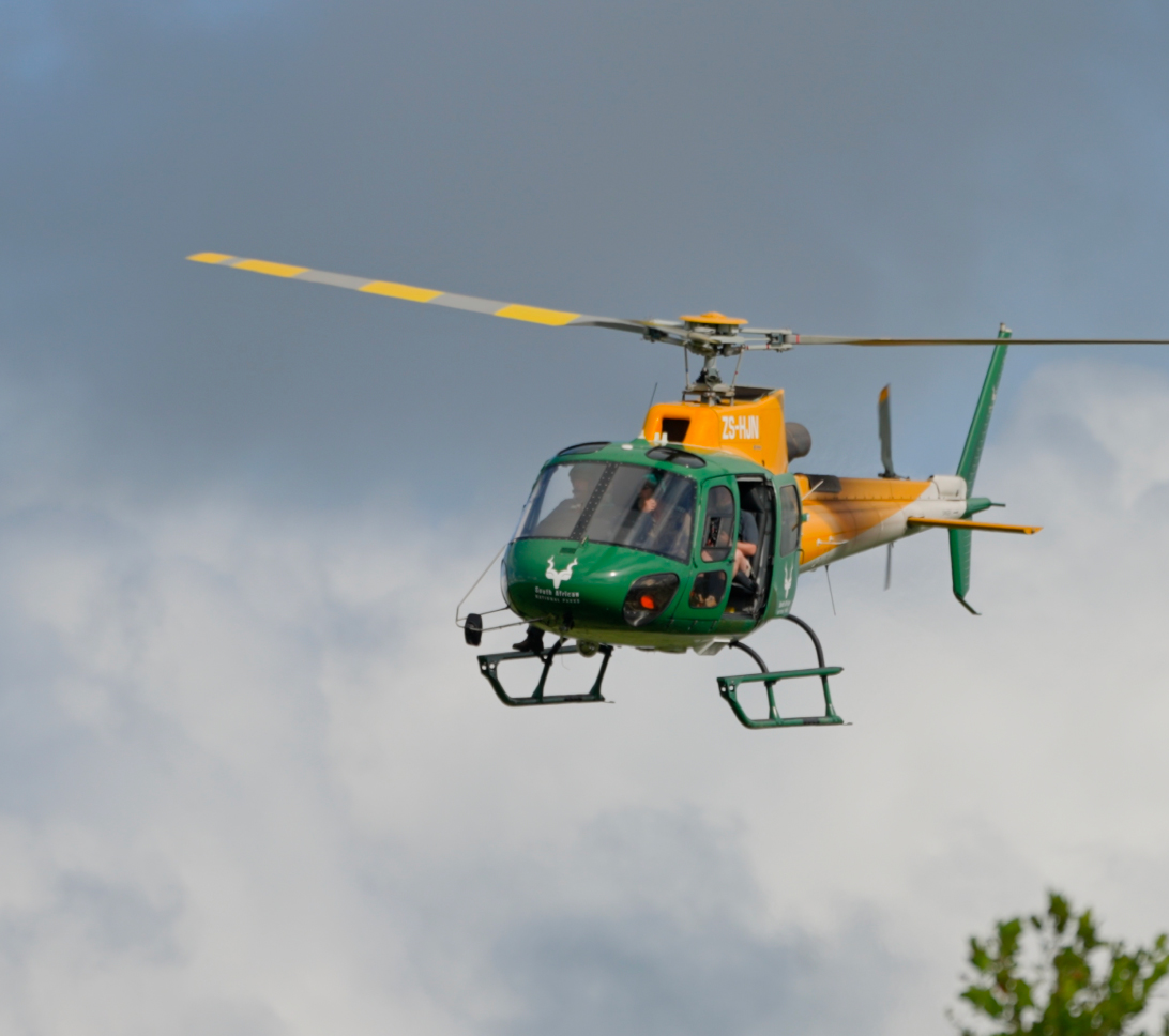 Helicopter